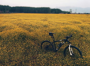 black hardtail bicycle in yellow bed of flowers