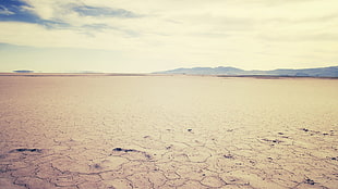 desert field, landscape, desert, nature HD wallpaper