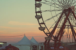 white and red Ferris wheel HD wallpaper