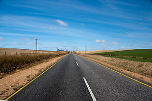gray road pavement with brown grass, africa HD wallpaper