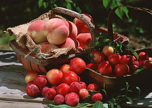 tomato and apple in wicker basket HD wallpaper