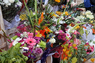 assorted bouquet of flowers HD wallpaper