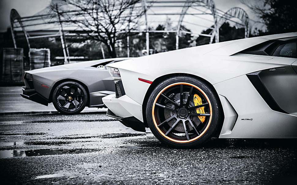 white and gray luxury cars, Lamborghini, vehicle, car HD wallpaper