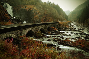 landscape photography of bridge near river during foggy season