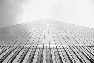 glass window paneled skyscraper HD wallpaper