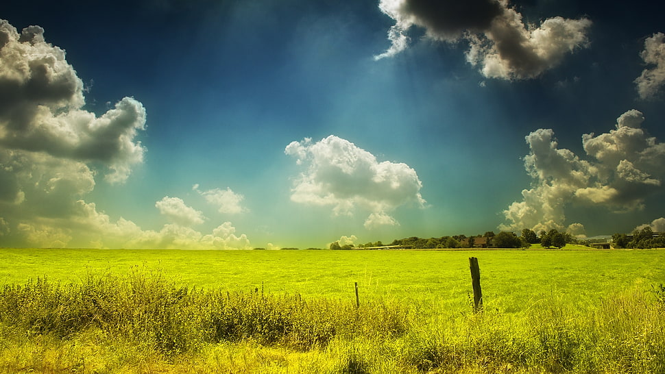 green grass lawn under white clouds at daytime HD wallpaper