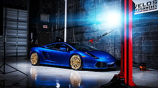 blue Lamborghini Gallardo coupe, Lamborghini, Lamborghini Gallardo, supercars, car