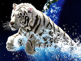 albino tiger with water splashing underneath digital art HD wallpaper