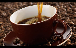 brown ceramic teacup with saucer, coffee, drink HD wallpaper