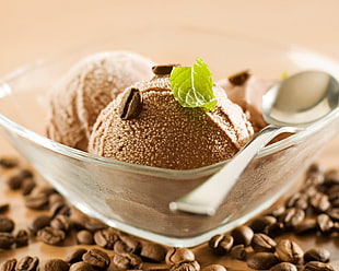 stainless steel spoon, ice cream HD wallpaper