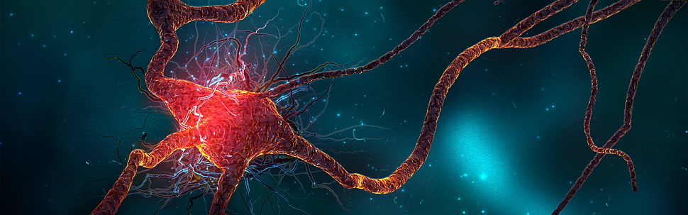 neurons, people, web design, multiple display HD wallpaper