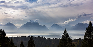 mountain near forest during daytime landscape photo, jackson lake HD wallpaper