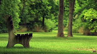 brown wooden bench, nature, peaceful