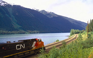 black and orange train, landscape