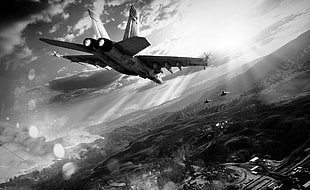 airplane grayscale digital wallpaper, airplane, army, McDonnell Douglas F/A-18 Hornet, military aircraft