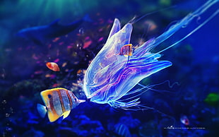 jellyfish, fantasy art, digital art, underwater, bubbles