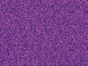 purple wallpaper, universe, space, abstract, structure