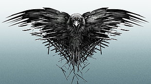 Crow illustration HD wallpaper
