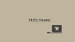black text with white background, minimalism, Raspberry Pi