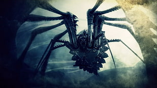 black spider digital wallpaper, video games, creature, Demon's Souls