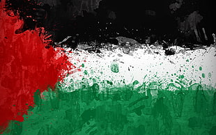 Palestine flag