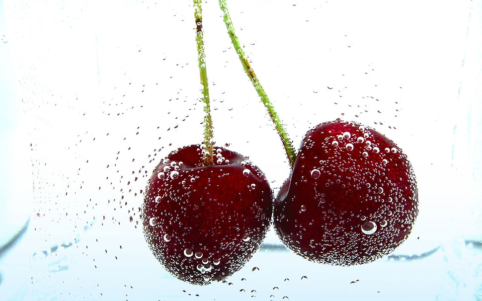 closeup photo of cherry fruit HD wallpaper