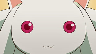 white animal character HD wallpaper, anime, Kyuubey, Mahou Shoujo Madoka Magica