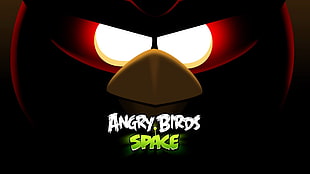 Angry Birds space illustration, Angry Birds Space HD wallpaper