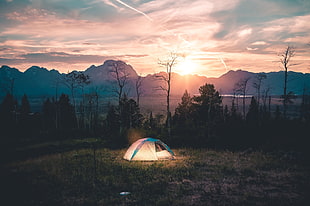 landscape photography of tent near bare trees during golden hour