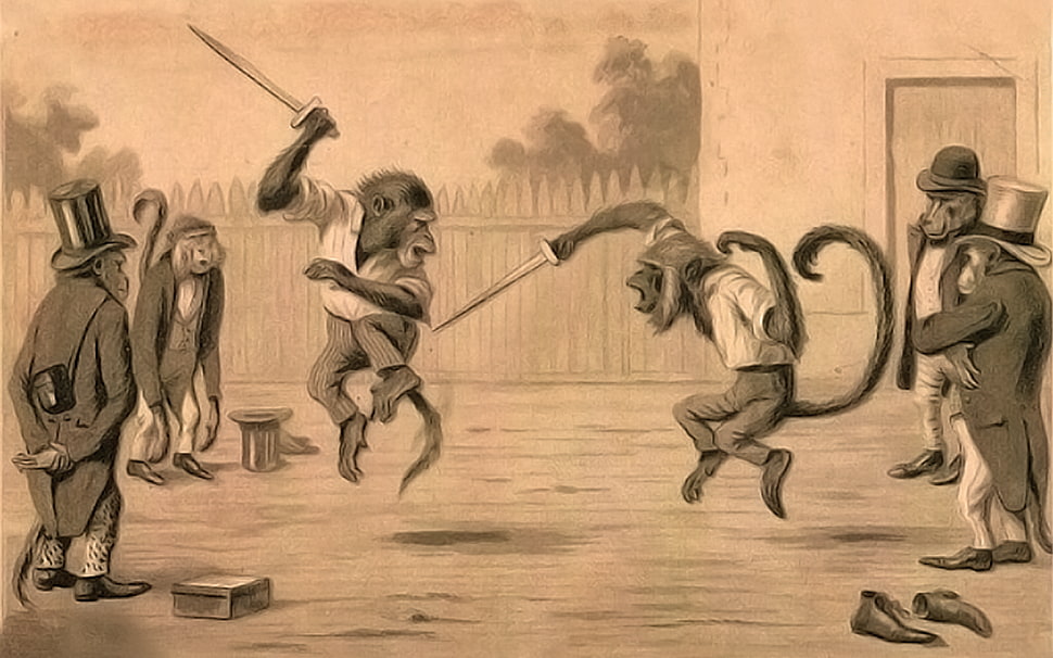brown monkey while fighting illustration HD wallpaper