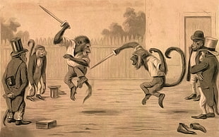 brown monkey while fighting illustration