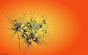 orange and black art digital wallpaper