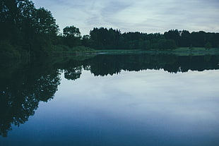 calm water during daytime HD wallpaper