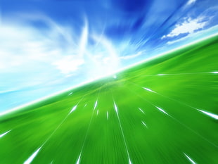 panning photo of green grasses