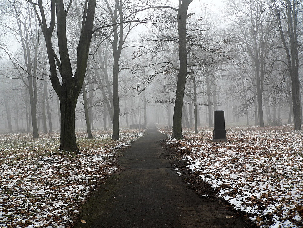 black and white concrete house, snow, trees, path HD wallpaper