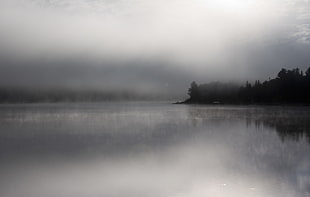 photography of black foggy island, dead river