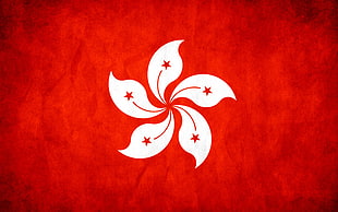 white and red flower-shape with star logo