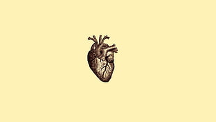 gray human heart sketch, digital art, minimalism, simple, simple background