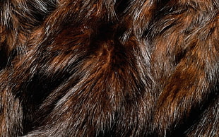 beige and black fur