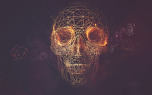 red skull digital wallpaper HD wallpaper