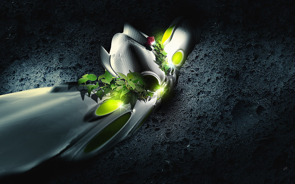green lead plant HD wallpaper