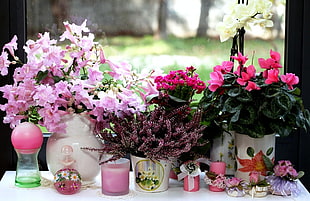 assorted table decors