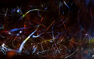 abstract, streaks HD wallpaper