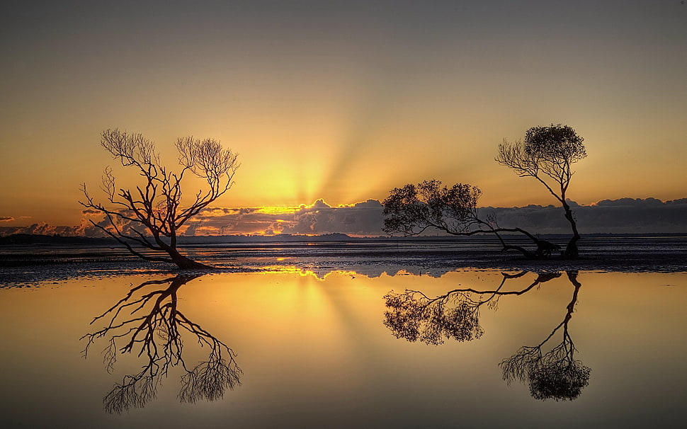 sunset over The horizon HD wallpaper