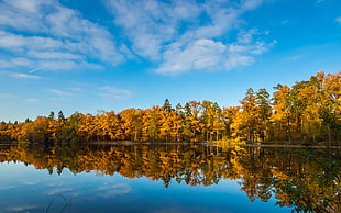 lake water scenery under blue sunny sky HD wallpaper