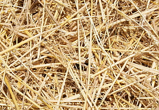 pile of hays \