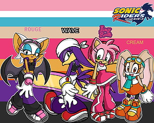 Sonic Riders graphic, Sonic, Sonic the Hedgehog, Sonic Riders, Rouge the Bat HD wallpaper