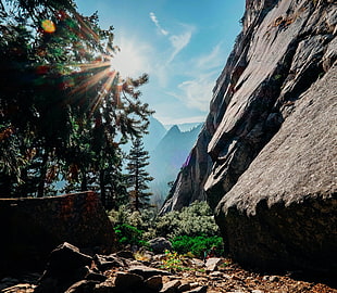 rock moutnain, mountains, trees, Yosemite National Park, nature HD wallpaper