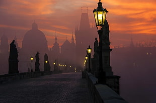 black and white post lamp, bridge, Prague, cityscape, lantern