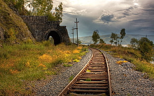 brown train rails, nature, grass, tunnel, railway